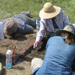 archaeologists digging in the field