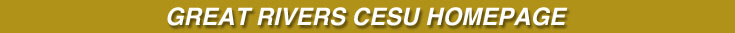 Image link